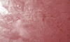 Screenshot_8