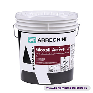 Arreghini Siloxsil Active стенное покрытие на основе силиката, укрепленное фиброй с компактным эффектом против плесени и водорослей в цвете CC-310 Dusty Road