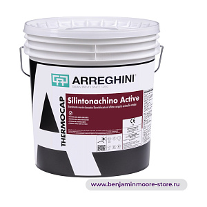 Arreghini Silintonachino Active силоксановое покрытие для стен, укрепленное фиброй с компактным эффектом с противоводорослевым и антибактериальным эффектом в цвете NCS S 1080-Y30R 