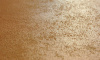 Screenshot_5